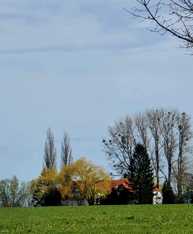 Haus Mueritz, Fewo 12 Moewe Zielow Luaran gambar